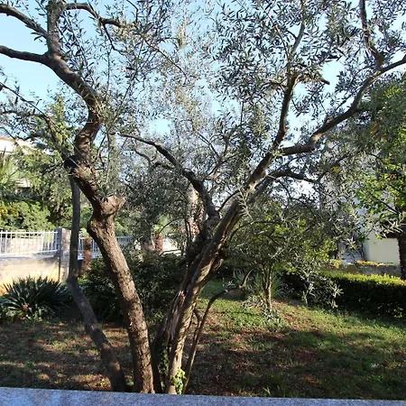 Апартаменты Sena *